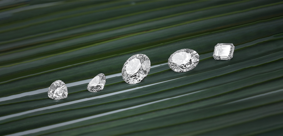 De Beers Rolls Out 'Diamonds from DTC' Origin Program