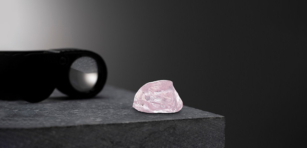 Blog Image https://www.jaykar.co.in/images/44469836049_40.jpg