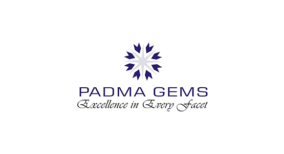 images/photo/25573213786_Padma-Gems.png
